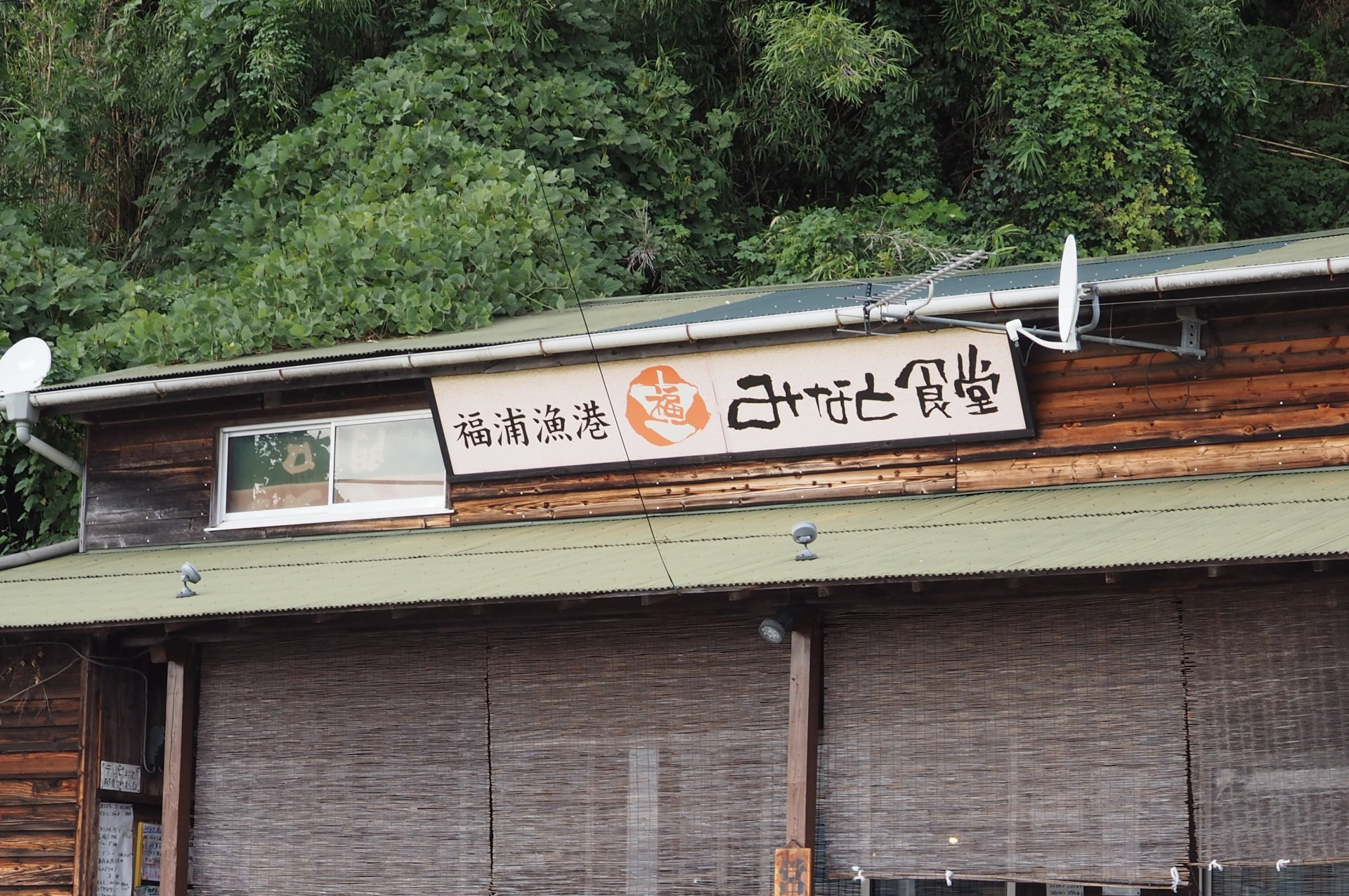 湯河原町 福浦魚港の「みなと食堂」～とれとれの魚と、相模灘の景色、漁港の雰囲気を味わう～【食のコラム】